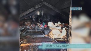 Новости за минуту
