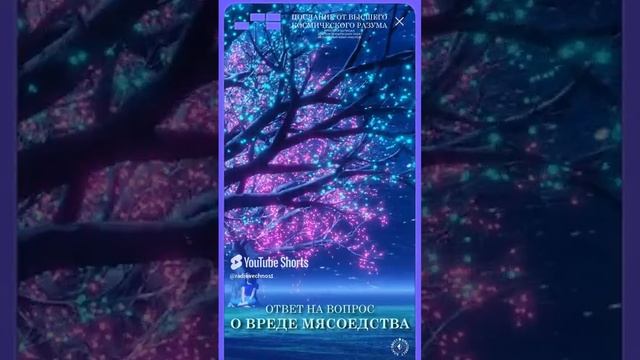 #БлагоВест ✴ Ответ на вопрос О ВРЕДЕ МЯСОЕДСТВА