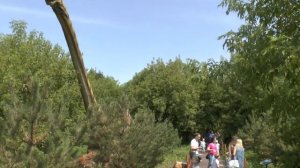 Парк динозавров "ДиноСказка" в Крылатском