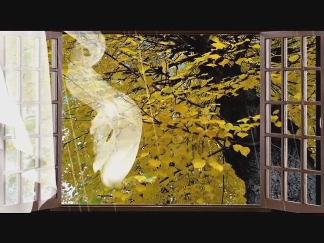 # TANGO АХ,ЭТИ ЛИВНИ! Красивая песня! Танго!... - Людмила Кондрашова 2021 смотреть онлайн