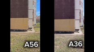 A56 vs A36 #galaxy #samsung #smartphone #a56 #a36 #shorts #сравнение #vs #самсунг #