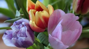 Рита Лепехо