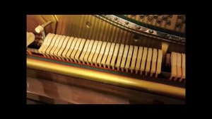 Демо-версия видео Звуки пианино