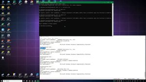 Папка FileRepository. Что в ней и почему она столько весит? Чт?