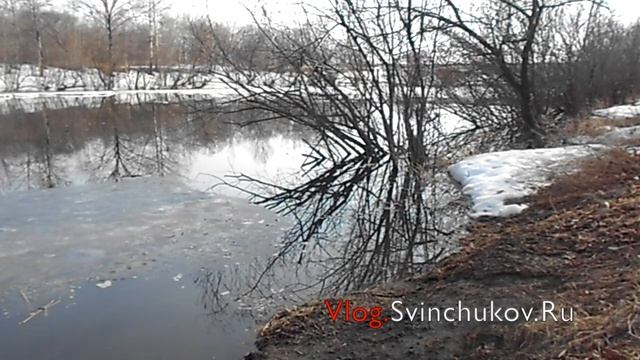 На озере возле посёлка Дружба смотреть онлайн