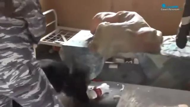 умидворим.канали.мара.дасгири.мекинен точикистон.ба.п смотреть онлайн