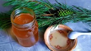 ВАРЕНЬЕ ИЗ ШИШЕК СОСНЫ рецепт