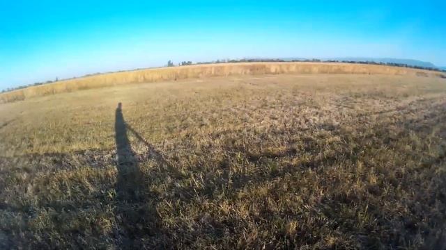 ЛУЧШАЯ ОХОТА НА ФАЗАНА В ЧИЛИКЕ! ЖАРКИЙ ОКТЯБРЬ.