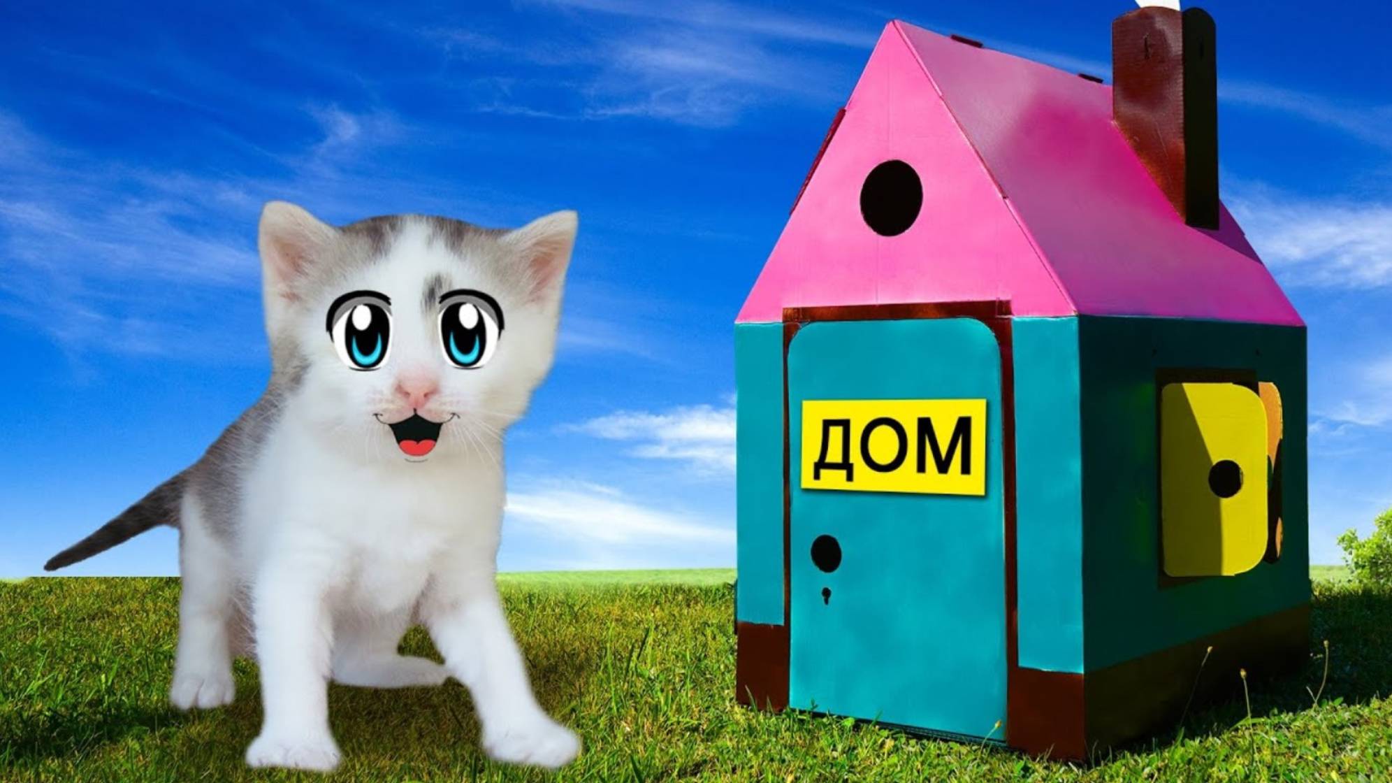ГИГАНТСКИЙ картонный ДОМИК для КОТОВ! Смешной Кот и Кошечка Мурка и РУМ ТУР А НУ КА ДАВАЙ КА