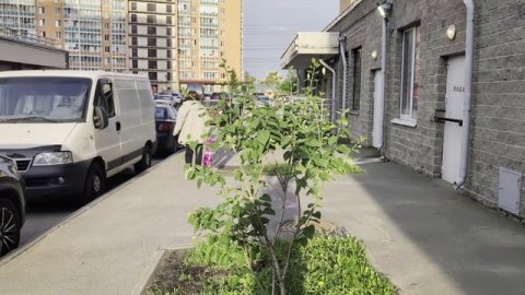 The Chemical Brothers - Go