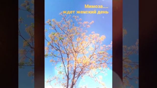 Море.Кемер. Осень 2021 смотреть онлайн