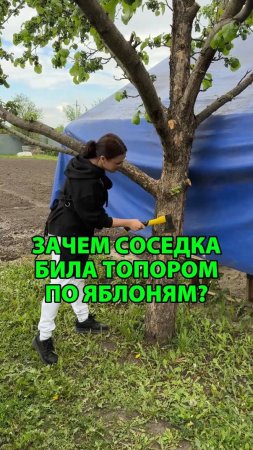Зачем соседка била топором по яблоням