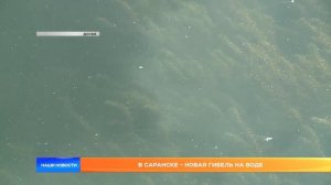 В Саранске - новая гибель на воде
