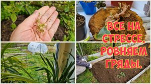 Напасть за напастью. Неутешительные новости из больницы. Каждый переживает по своему.