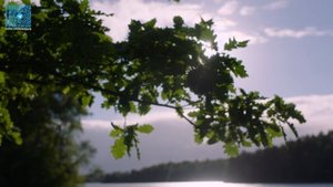 Обзор подушки Tempur ErgoPlus