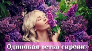 Одинокая ветка сирени. Песня Валерия Залкина, которая берет за душу!