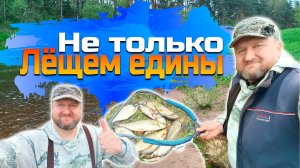 НЕ ТОЛЬКО ЛЕЩЁМ ЕДИНЫ