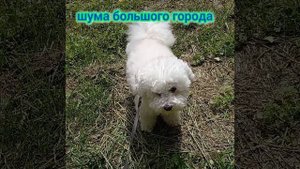 Май 2025, Хабаровск