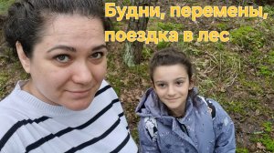 Будни, перемены, поездка в лес