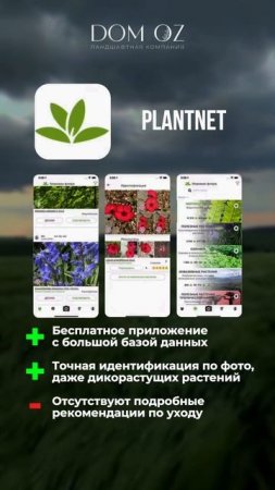 ЗАКАЗАТЬ БЛАГОУСТРОЙСТВО И ОЗЕЛЕНЕНИЕ: +7(985)920-77-00 (WhatsApp, Telegram) https://domozmsk.ru