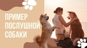 Моя визитная карточка✨