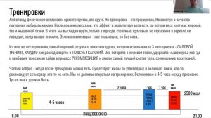 Адаптивный термогенез 
Тренировки и питание в рамках дня