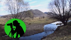 Расслабляющие звуки природы / Журчание ручья в уютной долине /   Видео для отдыха и медитации