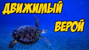 Движимый верой - Василий Савич. Христианские проповеди