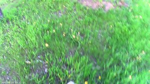 Одя 21.05.25 не ищет Сашу