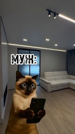 КОГДА РАЗГЛЯДЕЛ СТОИМОСТЬ РЕМОНТА