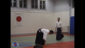 23 Aikido Ken No Tebiki Ai Hanmi Do Barai Nikyo Shishiya Sensei Sandviken 2002