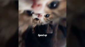 Элджей - Минимал [ speed up ]