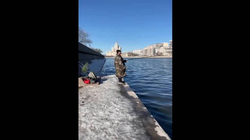 Смешные Вибрации Заряд Позитива На Весь День