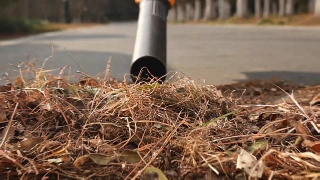 Воздуходувка для листьев аккумуляторная INGCO CABLI20428 смотреть онлайн