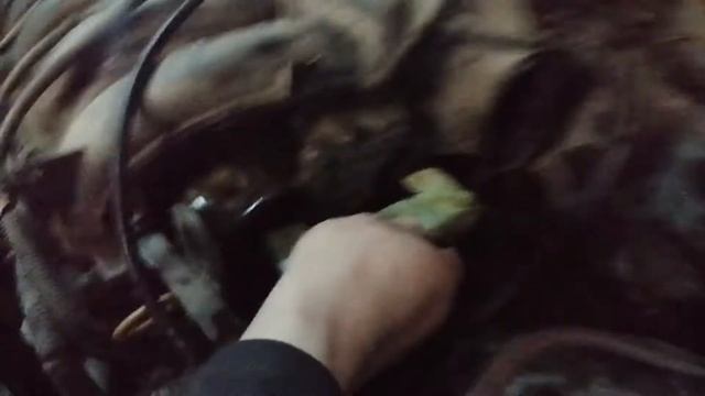 Замена комплекта ГРМ, а так же сальников Распредвалов и Коленвала на Ниссан Альмера смотреть онлайн