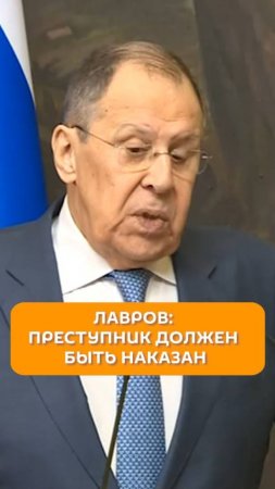 Лавров: преступник должен быть наказан