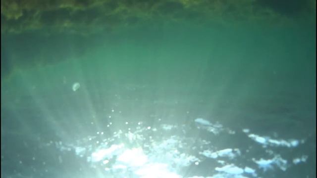 Первый тест sony fdr x1000v. 1080р 120 кад/с смотреть онлайн