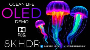 Океанская жизнь - Ocean Life OLED Demo HDR 8K Ultra HD Dolby Vision™ 60fps