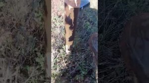 Охранник заповедника поймал нарушителей