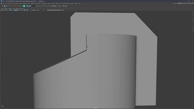 Complex Topology Study - Shape Study - 01