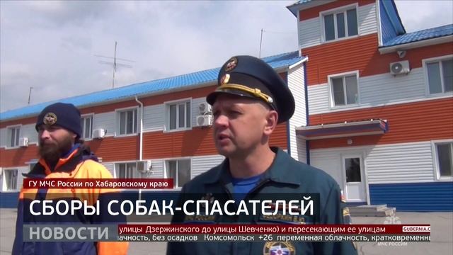 Сборы кинологов: как проходят аттестацию четвероногие спасатели? Новости. 27/05/2025. GuberniaTV