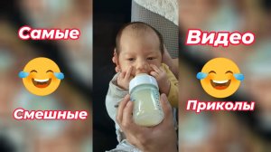 Самые смешные видео приколы