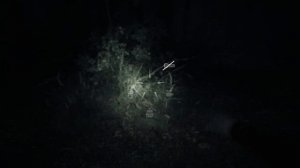 BLAIR WITCH • #1 • Ужасы леса