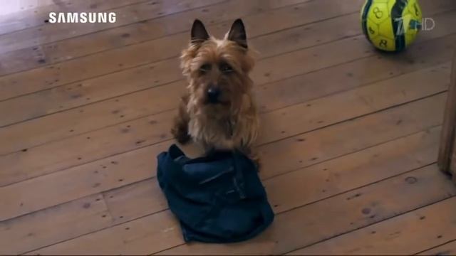 Реклама Samsung Addwash 1 смотреть онлайн