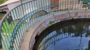 Ежегодная Экспедиция "Путь к Источнику". Оковецкий Источник. Алевтина Черниченко, Твер.обл. МНШУ