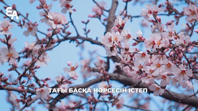 Алланың азабынан аман ба олар? | Ұстаз Ерлан Ақатаев ᴴ?
