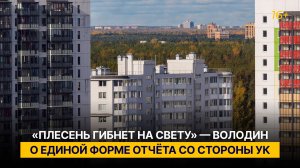«Плесень гибнет на свету. Чем больше света, тем больше прозрачности и порядка»