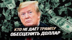 Удар по Гарварду, позолоченный купол, развод американской и глобальной экономики. Илья Титов
