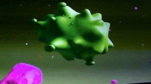 Самсам - учительница сна. С прямого эфира 7 октября 2024 г