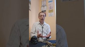 Реинкарнаия реальность